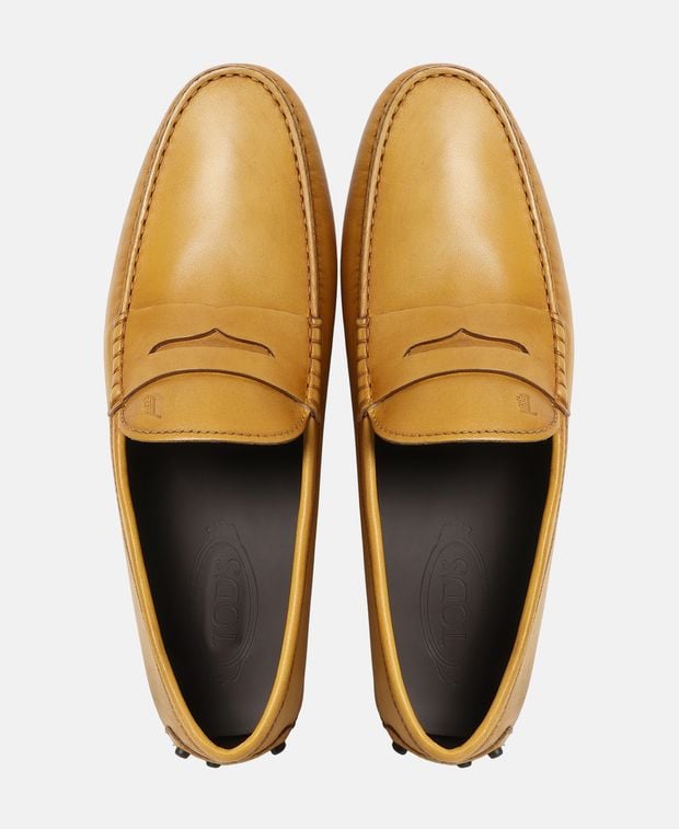 Tod's Moccasins