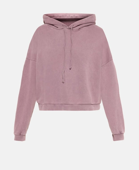 Acne Studios Hoodie Purple