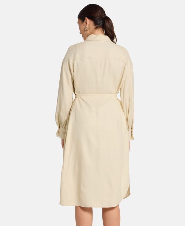 Joseph Shirtwaist dress Floreal