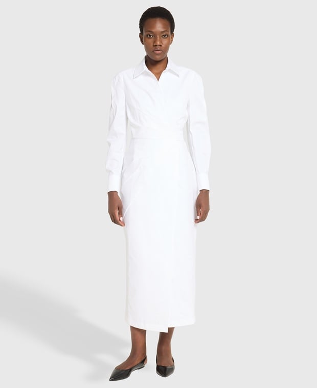 Max Mara Shirtwaist dress