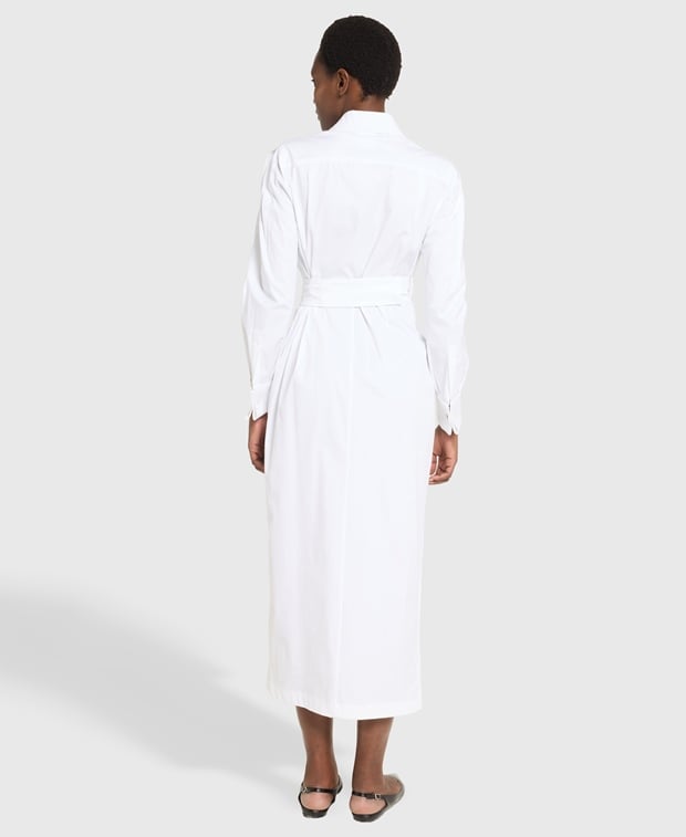 Max Mara Shirtwaist dress