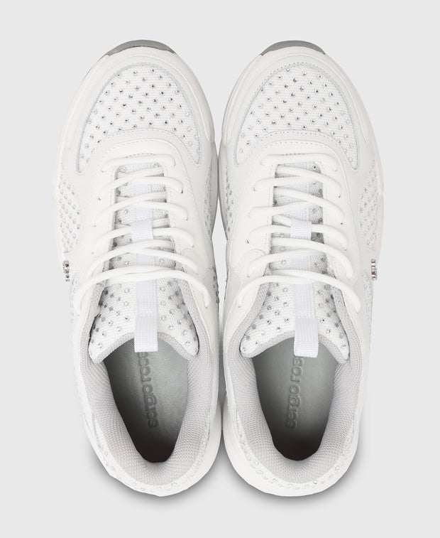 Sergio Rossi Sneakers