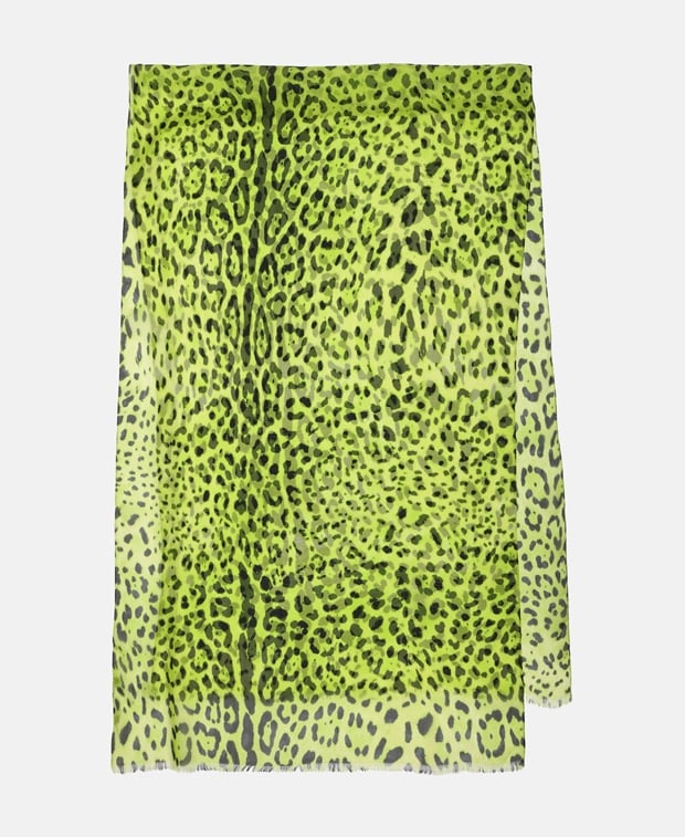 Dolce & Gabbana Silk scarf