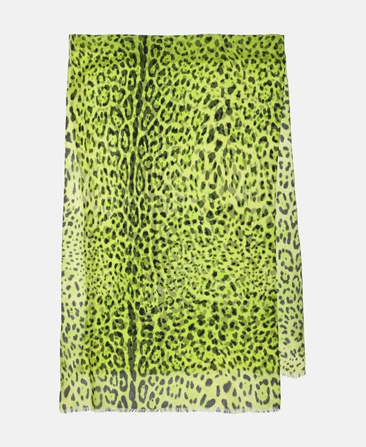 Dolce & Gabbana Silk scarf