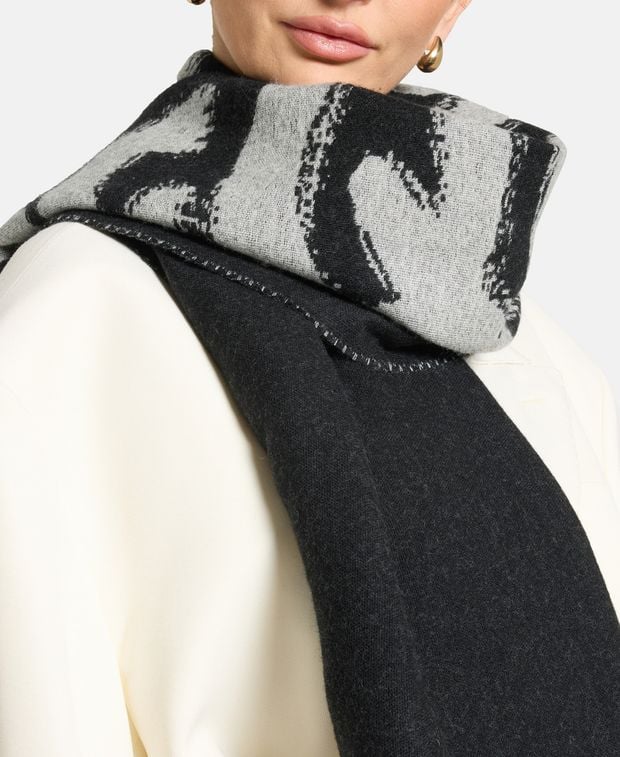 Alexander McQueen Wool scarf