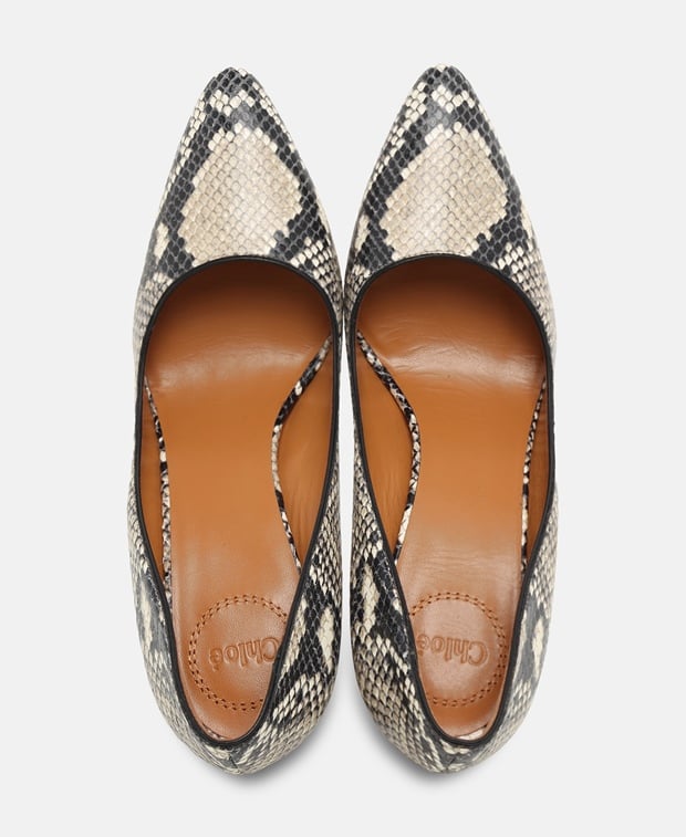 Chloé Pumps Greige