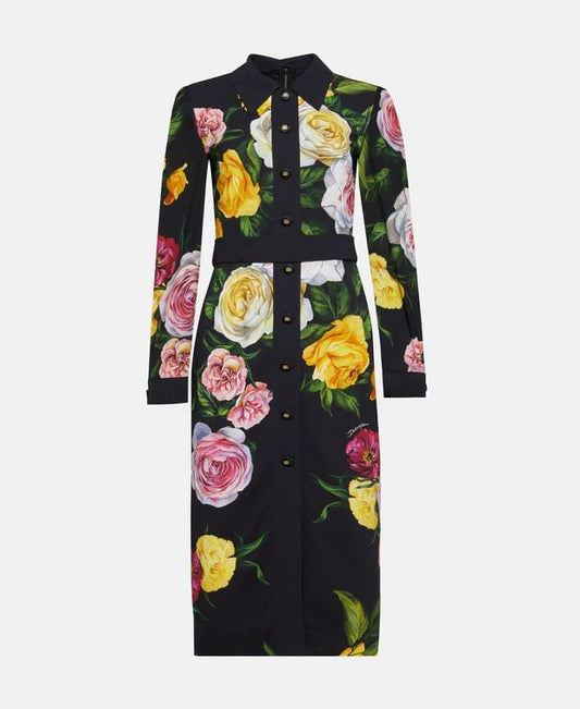 Dolce & Gabbana Shirtwaist dress