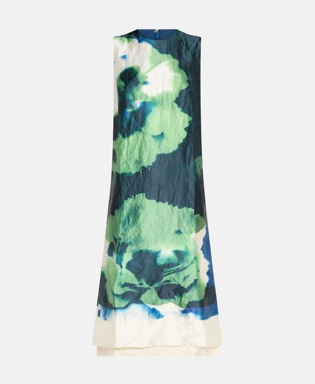 Erdem Midi dress