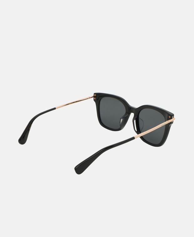 Max Mara Sunglasses