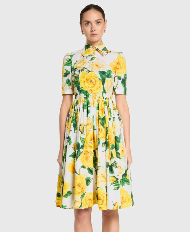 Dolce & Gabbana Shirtwaist dress