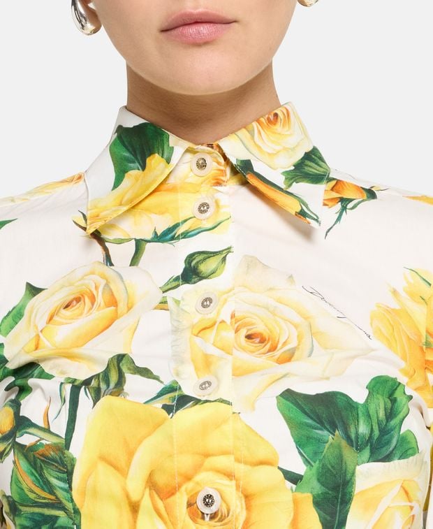 Dolce & Gabbana Shirtwaist dress