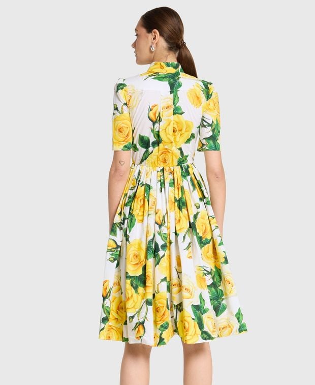 Dolce & Gabbana Shirtwaist dress