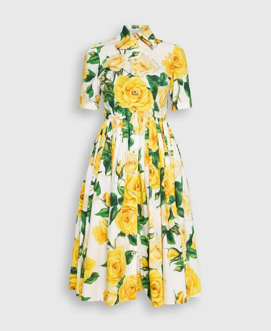 Dolce & Gabbana Shirtwaist dress