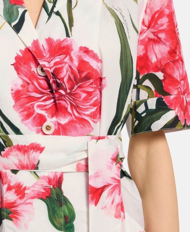 Dolce & Gabbana Shirtwaist dress