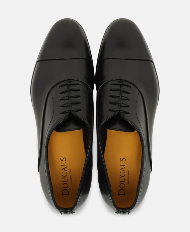 Doucal's Oxfords Fred