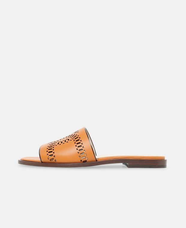 Tod's Mules