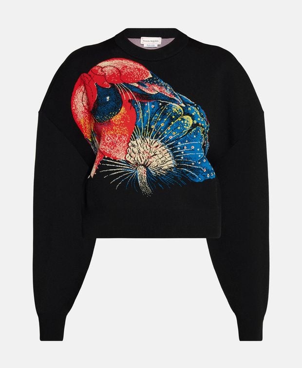 Alexander McQueen Sweatshirt