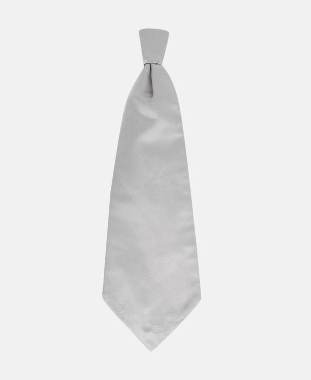 Corneliani Silk tie