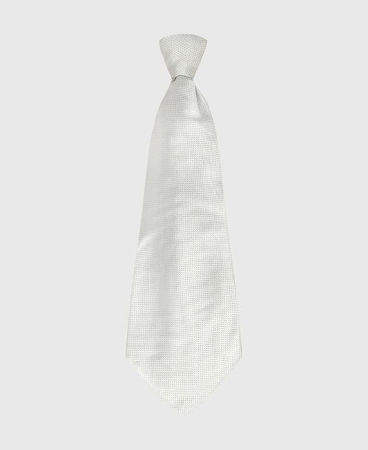 Corneliani Silk tie