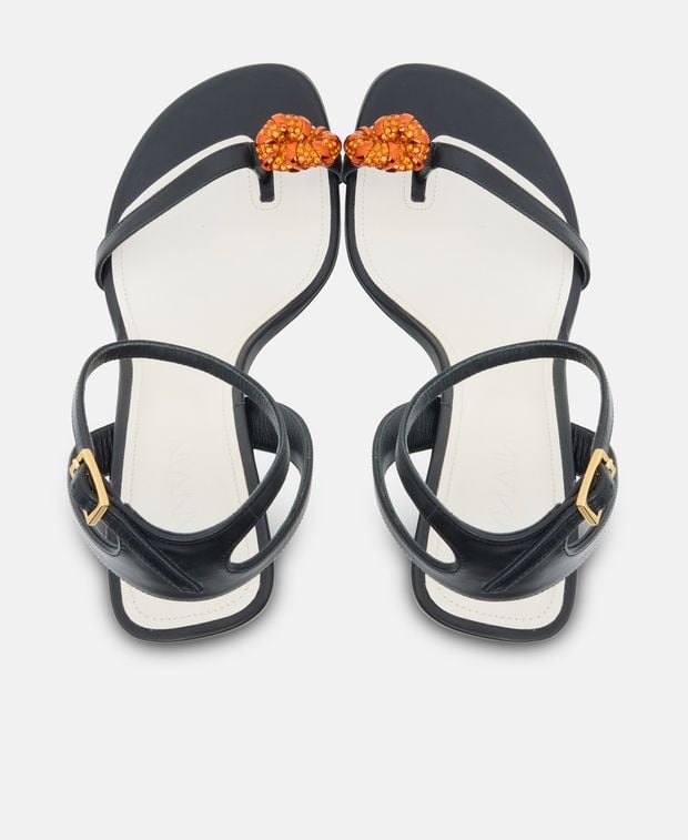 Lanvin Ankle strap sandals Melodie Jewei