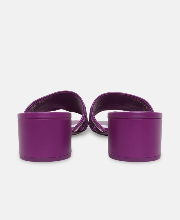 Dolce & Gabbana Mules Karol