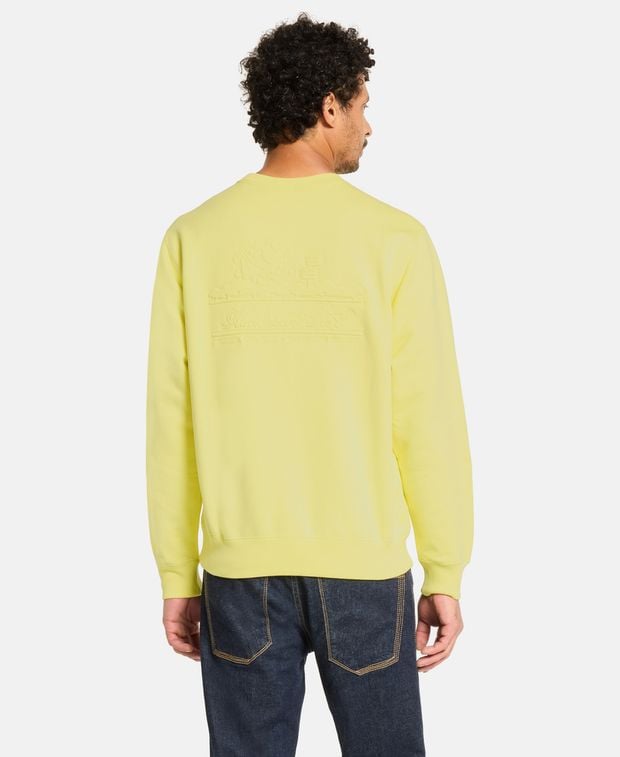 Aimé Leon Dore Sweatshirt