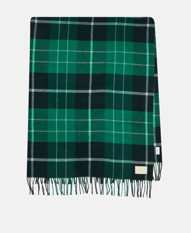 Aeyde Wool scarf Benn