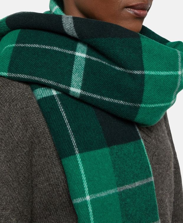 Aeyde Wool scarf Benn