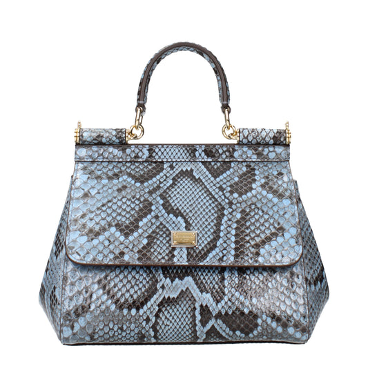 Dolce&Gabbana Women's Handbags Leather Python Paper