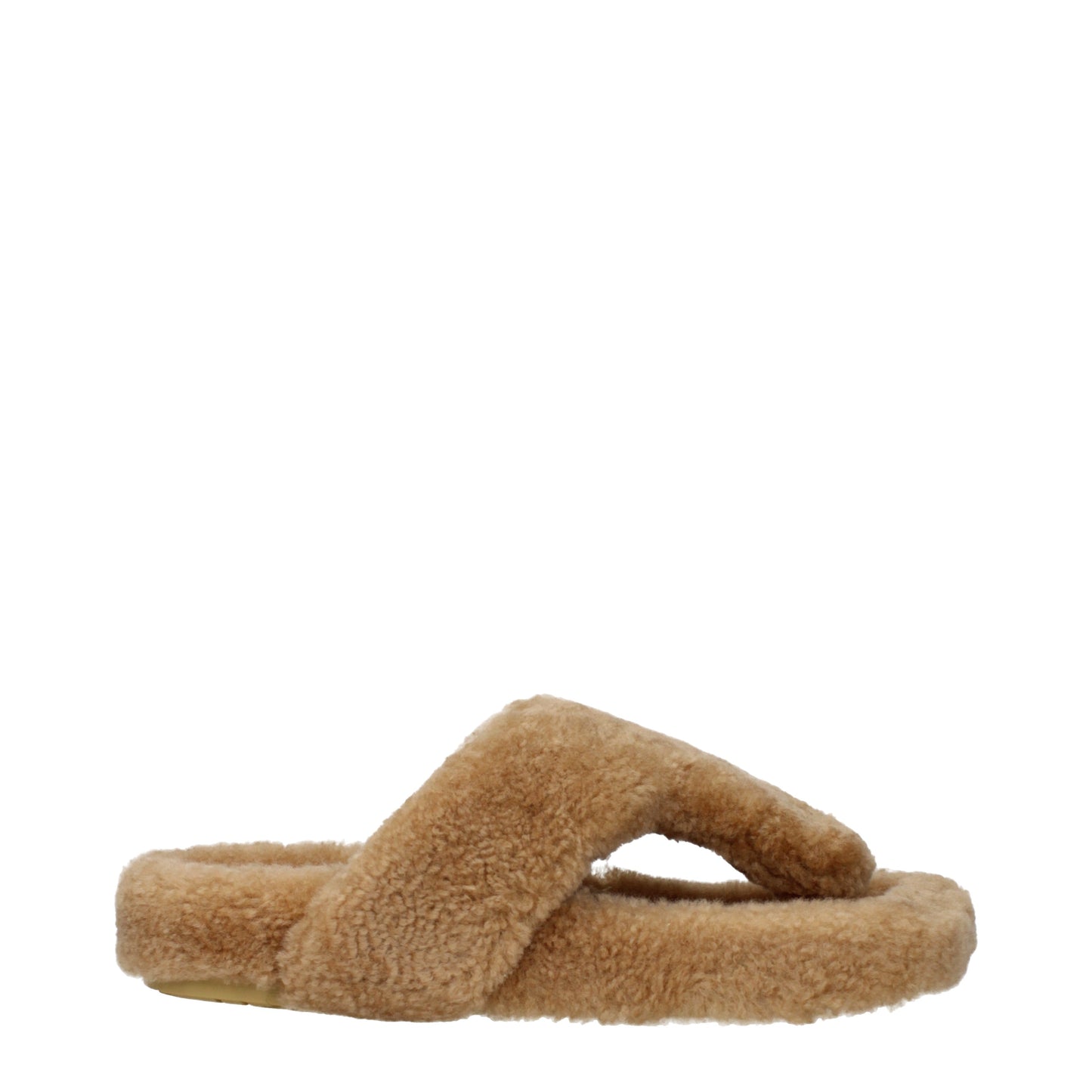 Loewe Women's Slippers and Clogs Fur