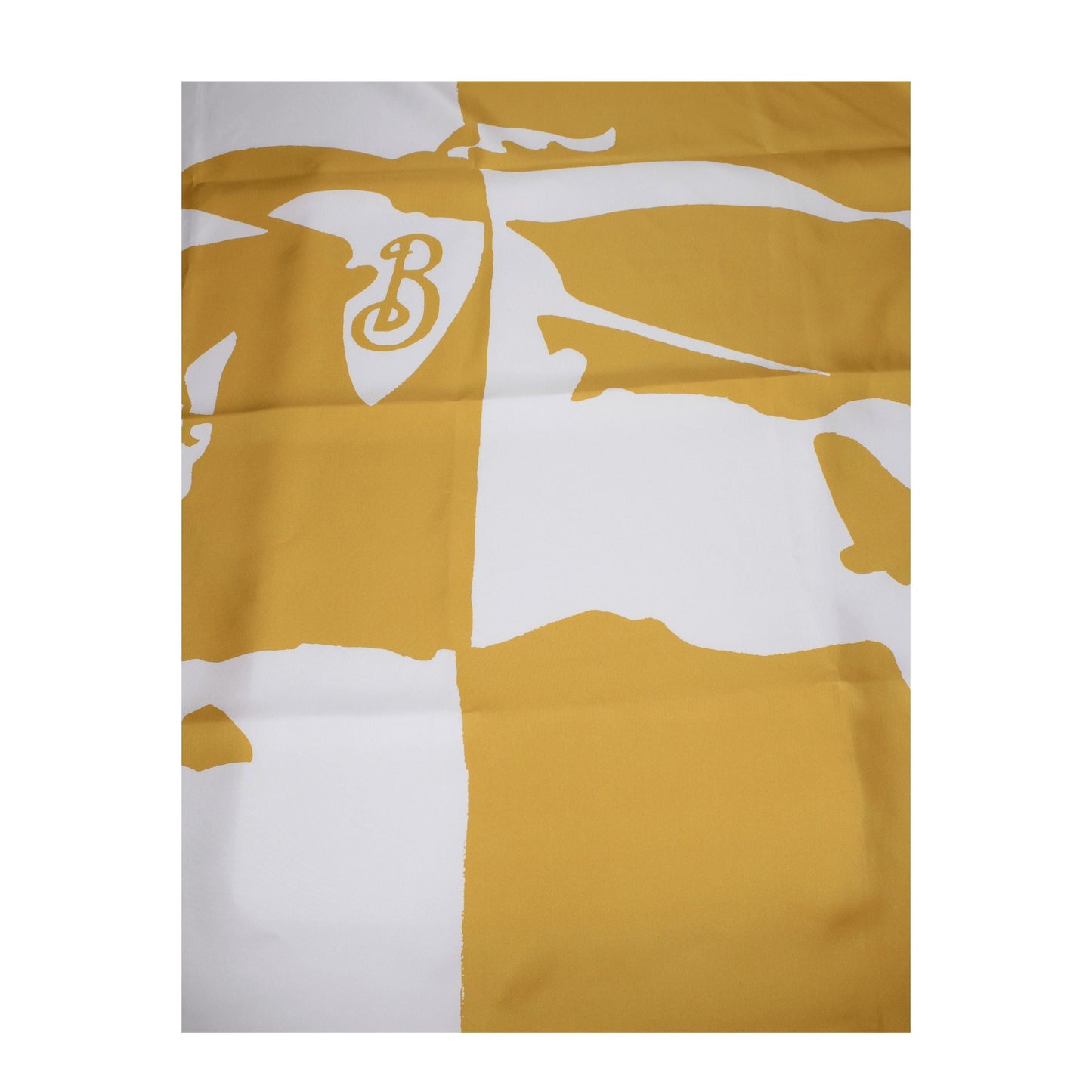 Burberry Foulards Women Silk Yellow/Pear